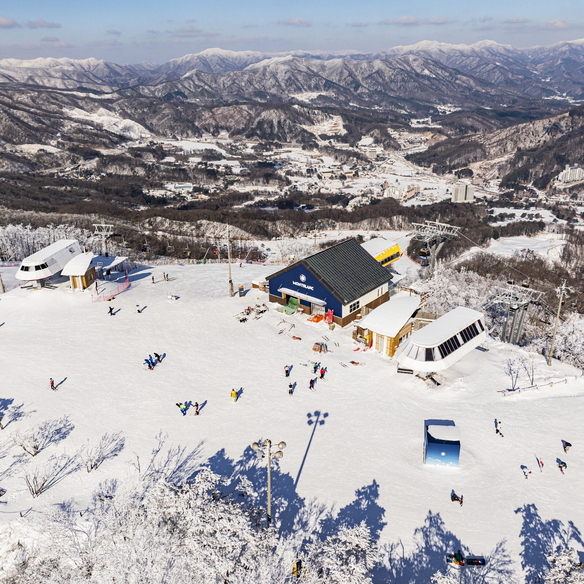 휘닉스파크 겨울